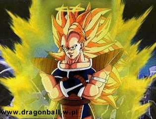 Radditz SSJ2